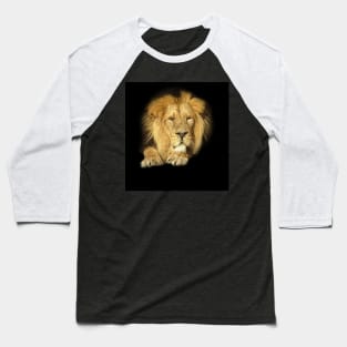 Lion portrait Baseball T-Shirt